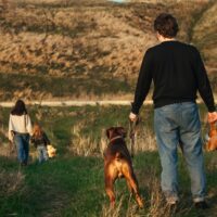 No-Fault vs. Amicable vs. Uncontested Divorce What is the Difference